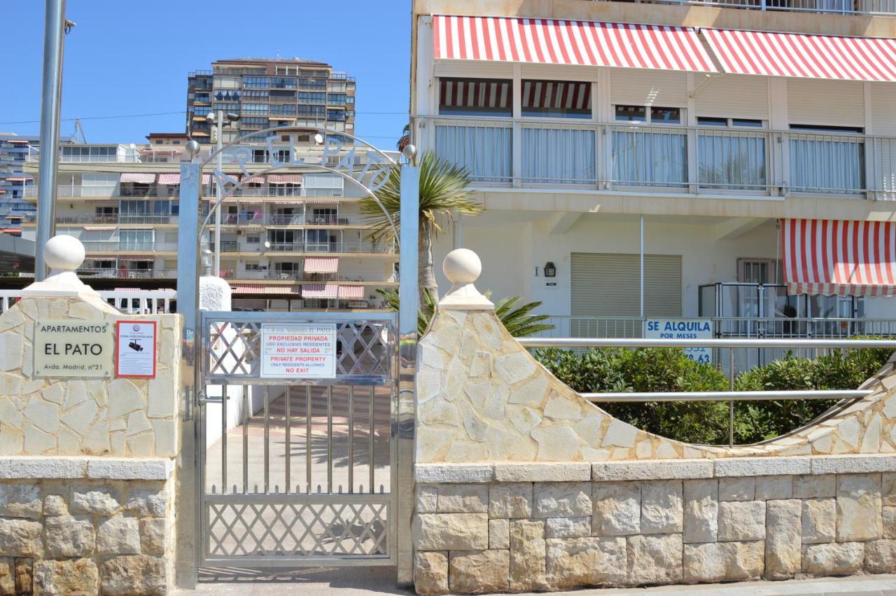 El Pato Primera Linea Benidorm Esterno foto